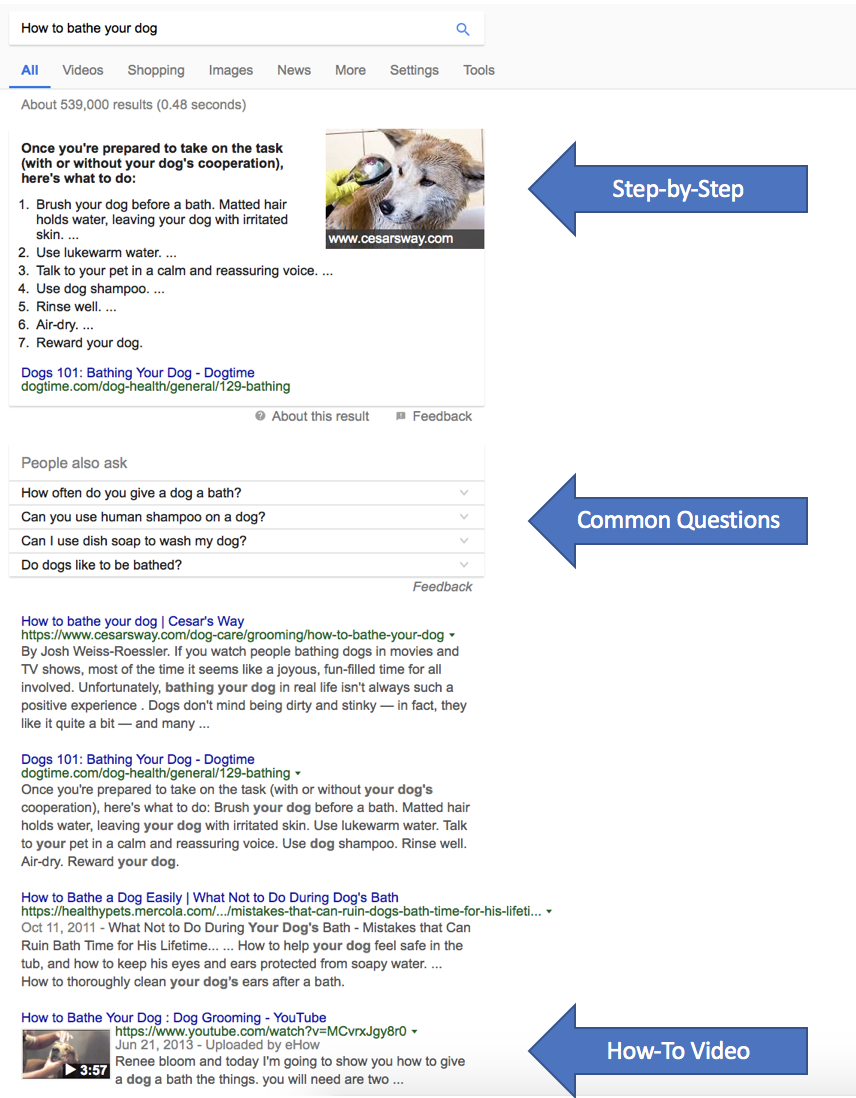 How to bathe your dog search result variations